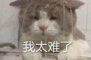 妖怪名单之前世今生 